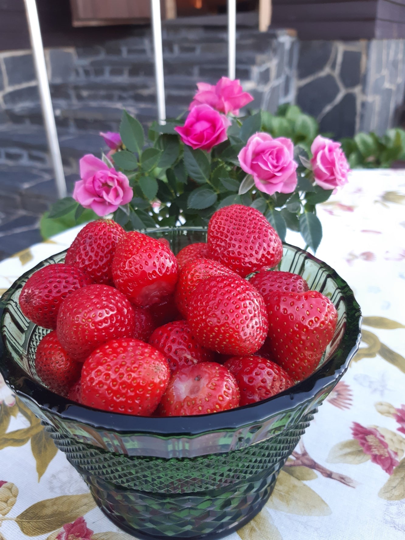 Gourmet | Keittiö
