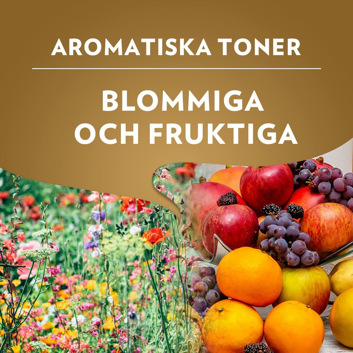 V4HFCA46841A3FCBCD3A2B667579E84D781R6246206P6