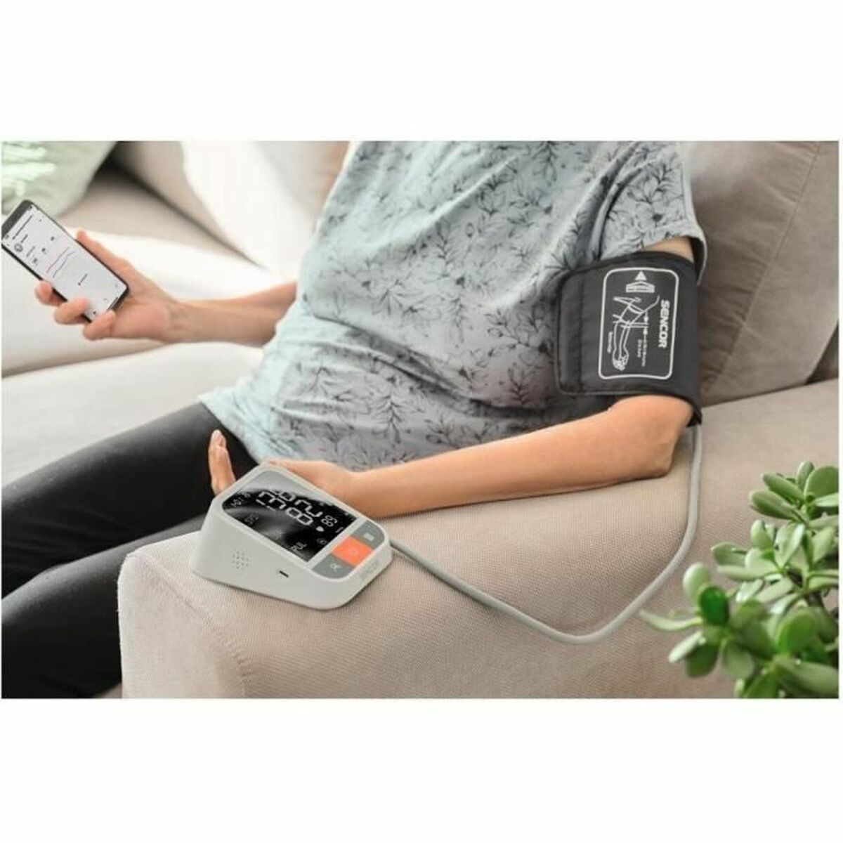 V2H7101CD8235077E2FAEF3128D536419BBR5783194P6